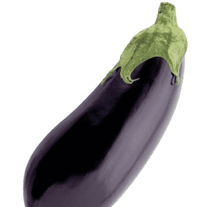 Aubergine